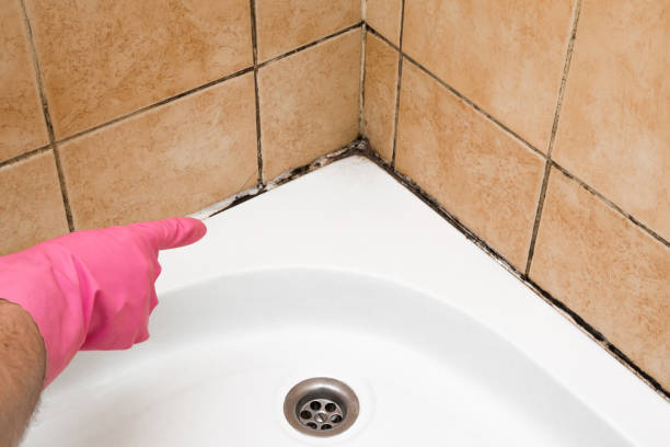 Patton Village, TX Mold Remediation Company
